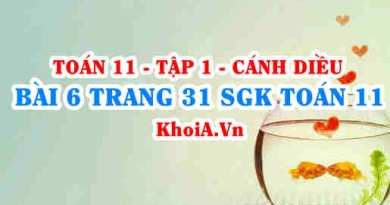 Bài 6 trang 31 SGK Toán 11 tập 1 Cánh Diều
